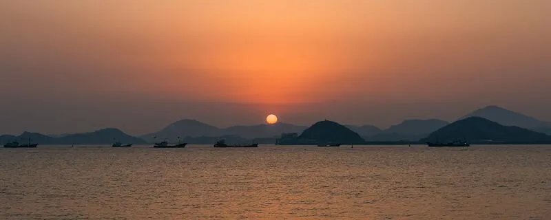 飞鸟相与还的意思 飞鸟相与还的意思是什么