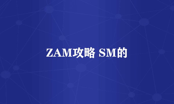 ZAM攻略 SM的