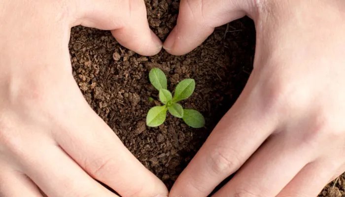 2022年3月12日是第几个植树节 2022年是植树节多少周年