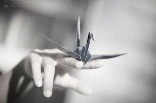 没人懂自己的伤感句子