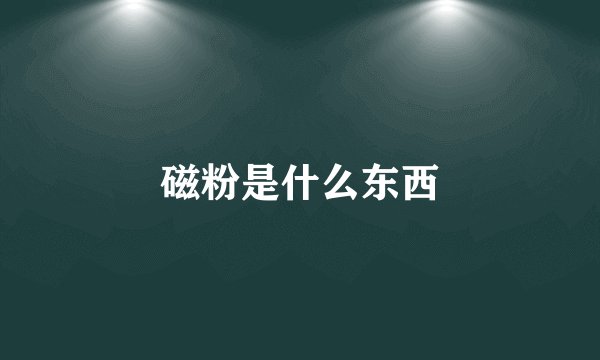 磁粉是什么东西
