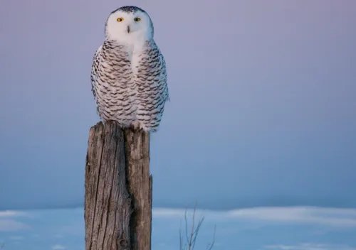 男人面相凶代表什么 一脸凶相的男人啥命