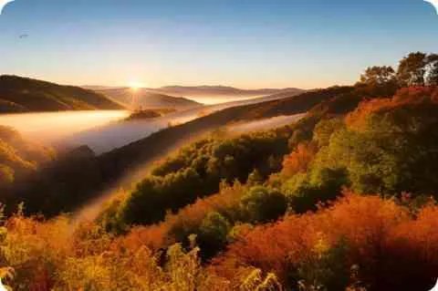 【聊以慰藉】的意思是什么？【聊以慰藉】是什么意思？