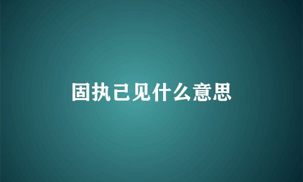 固执己见什么意思