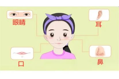 头部各个位置名称图