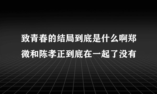 致青春的结局到底是什么啊郑微和陈孝正到底在一起了没有