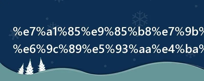 硅酸盐材料有哪些