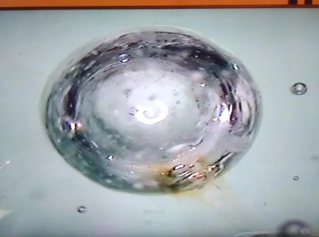 恒星的一生是怎样的？