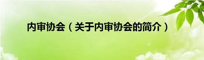 内审协会（关于内审协会的简介）