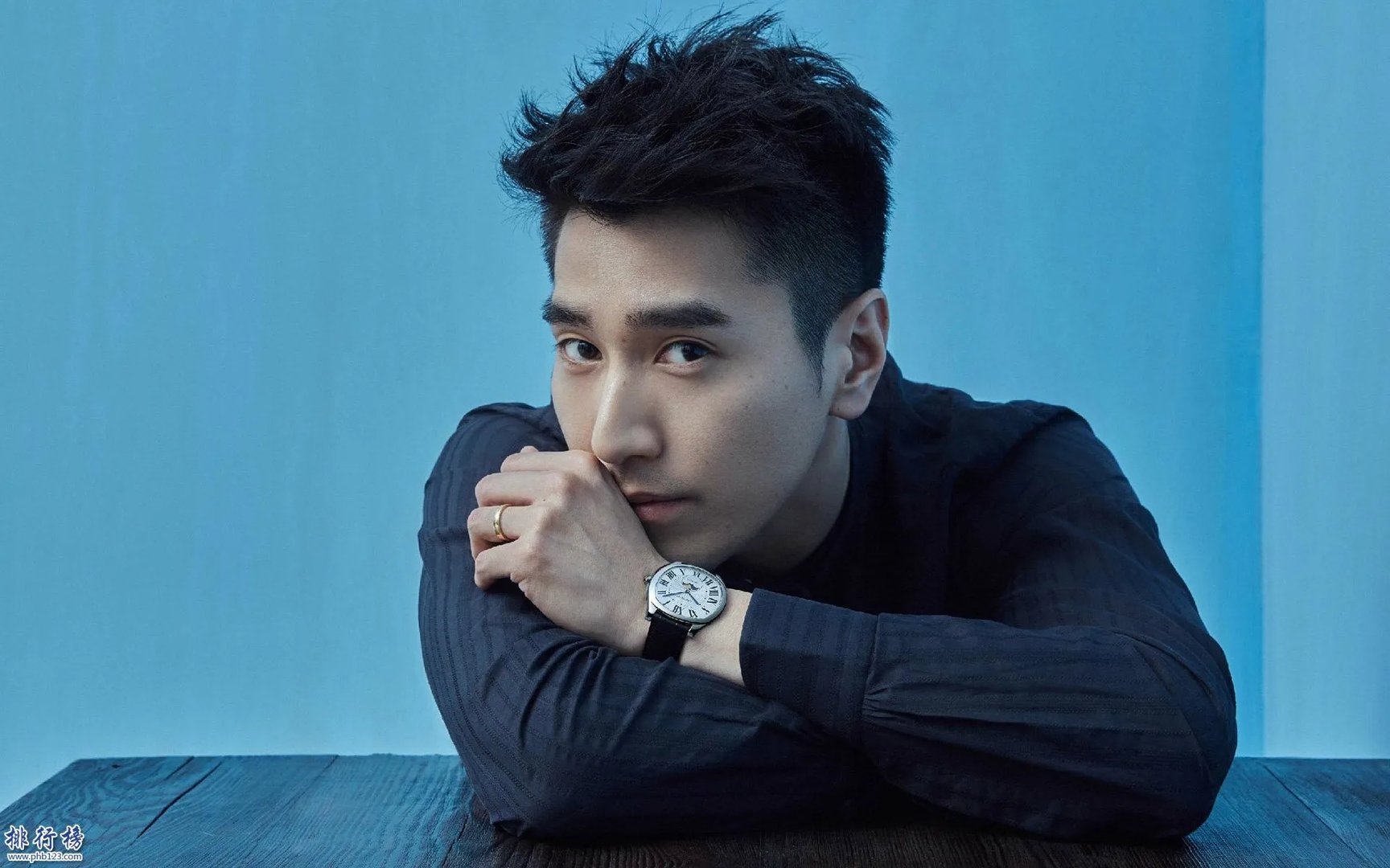 中国男明星十大帅哥(排名不分先后)