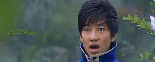 游乐王子扮演者 游乐王子扮演者资料