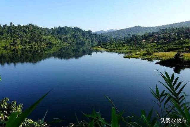 大棚养虾可靠吗？