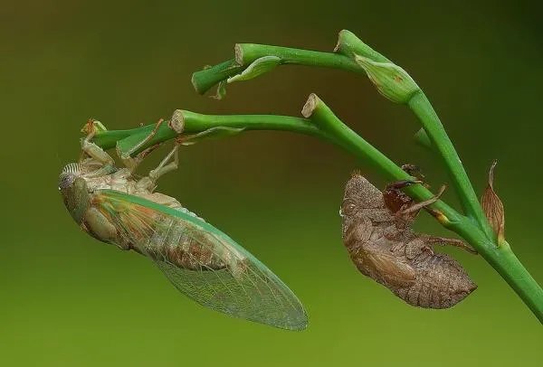 你童年的梦想是什么？