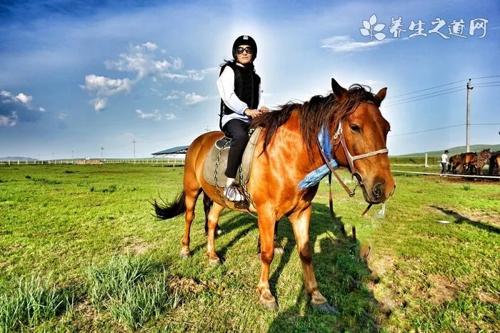 末伏是几月几号2020 哪一天