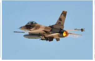 英国战机吓坏动物如何赔偿？