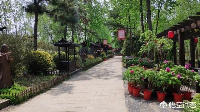 合肥滨湖国家湿地森林公园，好不好玩呢？