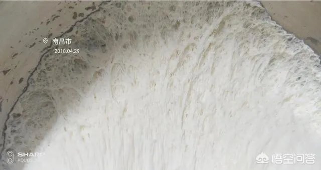 想开个早餐店，该如何操作呢？