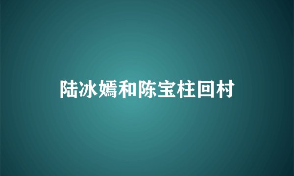 陆冰嫣和陈宝柱回村