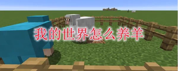 我的世界怎么养羊