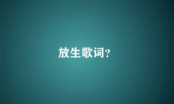 放生歌词？
