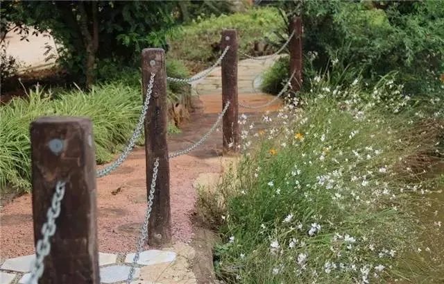 昆明,你就是个P!