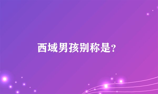 西域男孩别称是？