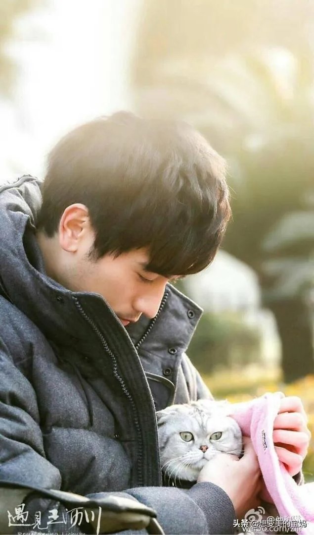 遇见王沥川这部电视剧有看过的么？评价下吧？