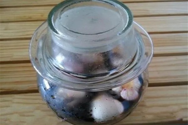 糖醋泡蒜的正确做法