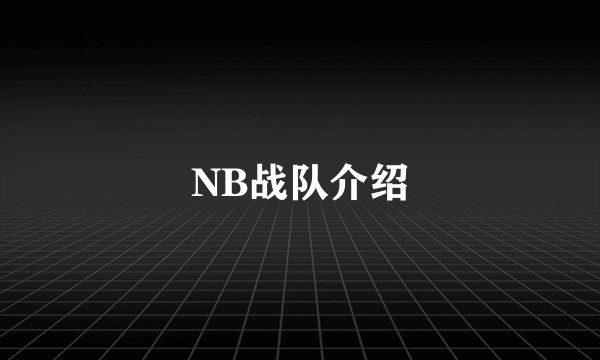 NB战队介绍