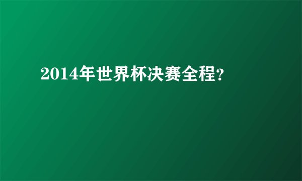 2014年世界杯决赛全程？