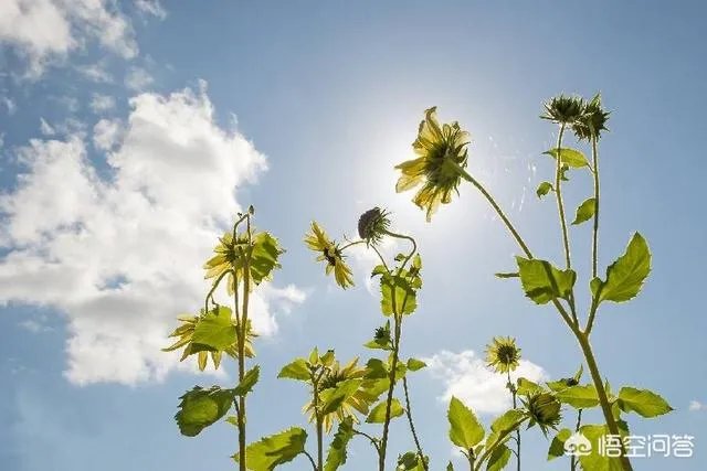 最后的温柔，分手那天你默默为对方做过什么事？