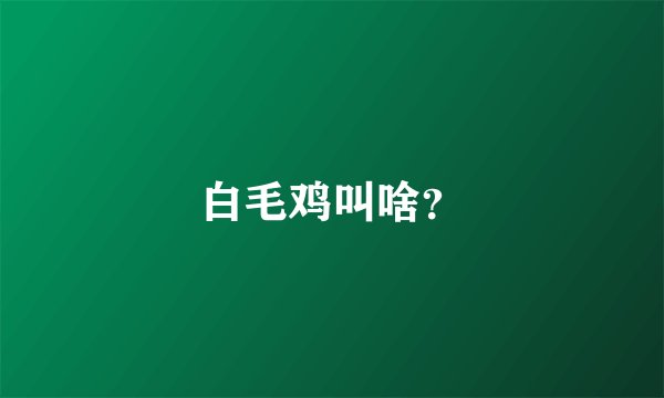 白毛鸡叫啥？