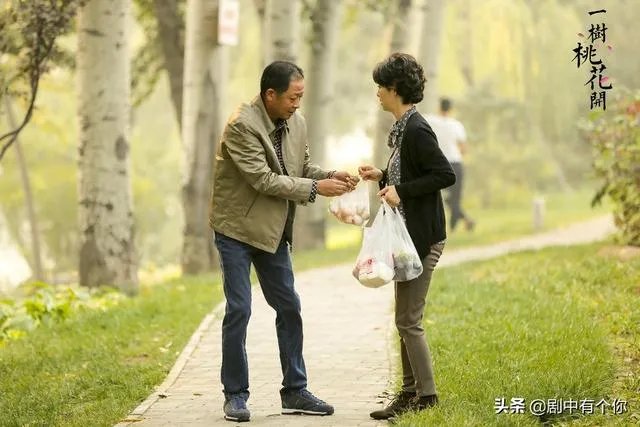 电视剧《一树桃花开》,相比盛开,为啥狄英最后能治服罗耀辉母?