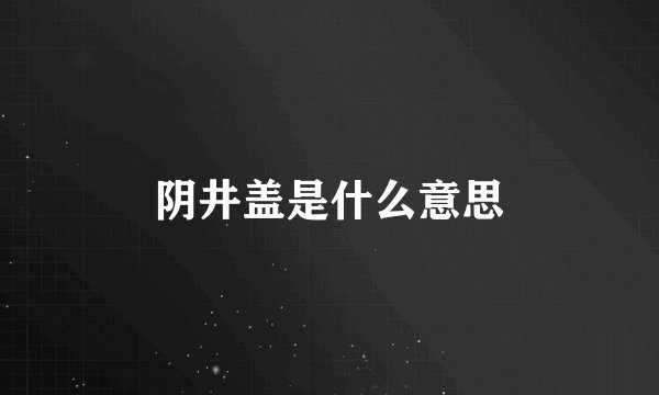 阴井盖是什么意思