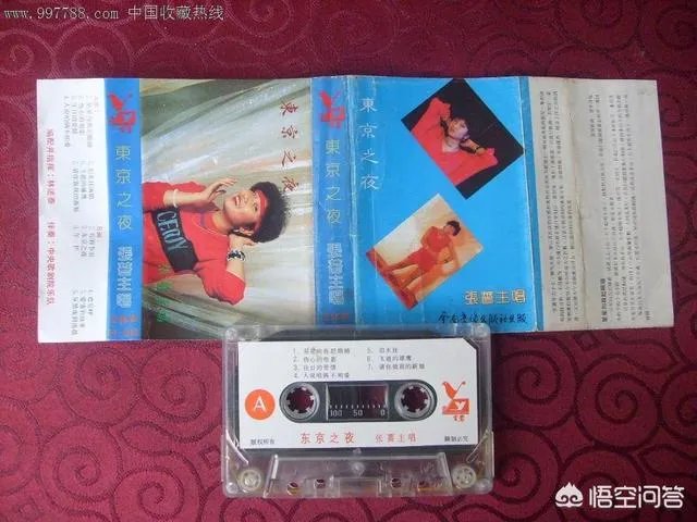 如何评价歌手张蔷?