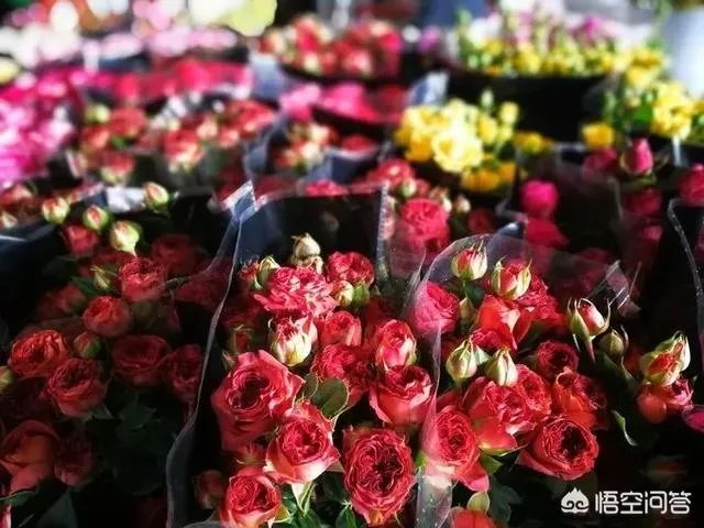 云南有哪些大的鲜花市场?