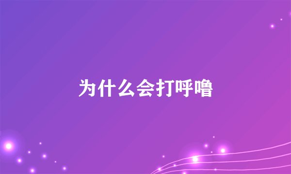 为什么会打呼噜