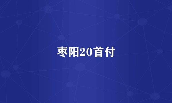 枣阳20首付
