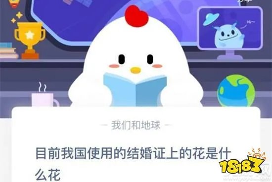 目前我国使用的结婚证上的花是什么花？