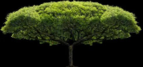 一寸相片尺寸标准(一寸照的尺寸比例