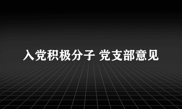 入党积极分子 党支部意见