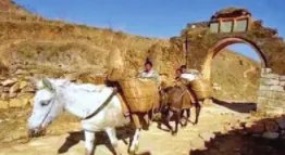 古代“茶马互市”是什么时候兴起的？茶马互换制度是怎么样的？