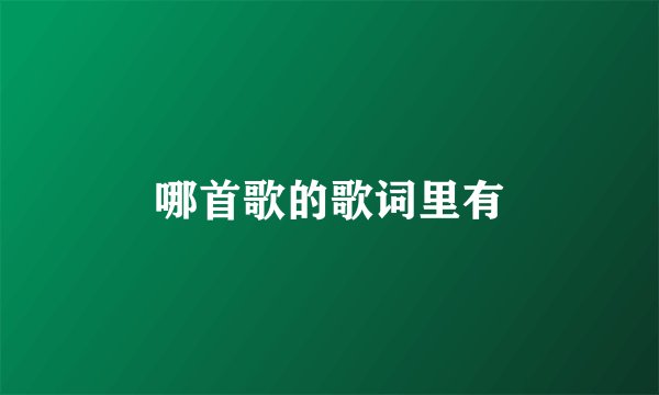 哪首歌的歌词里有
