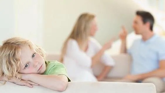 上海父子放大镜实验烧毁2000平草坪，这对父子的做法是否合法？