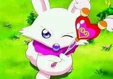 少儿频道的动漫世界播过哪些动画片?