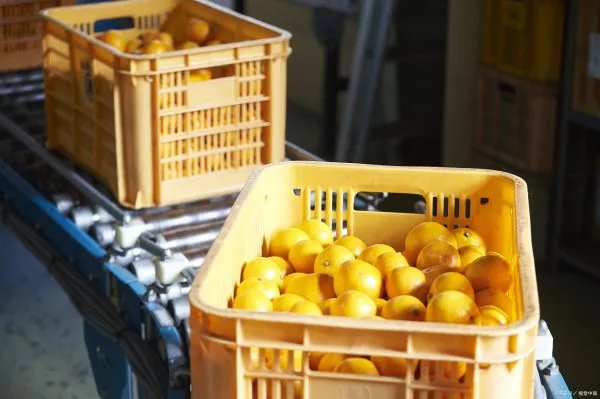 日本核污染地区食品流入中国，那么究竟核污染食品对人体的危害有多大呢？