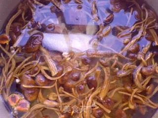 茶树菇鸡汤