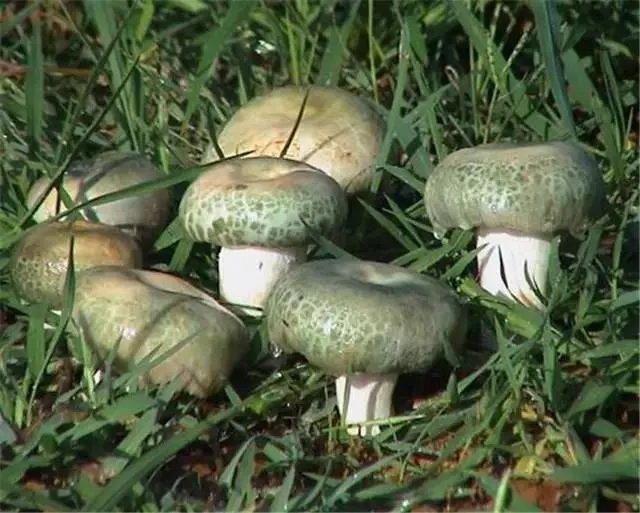 昆明,你就是个P!