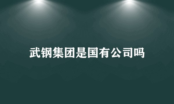 武钢集团是国有公司吗