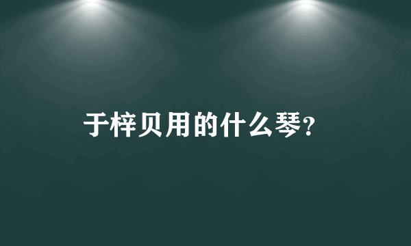 于梓贝用的什么琴？